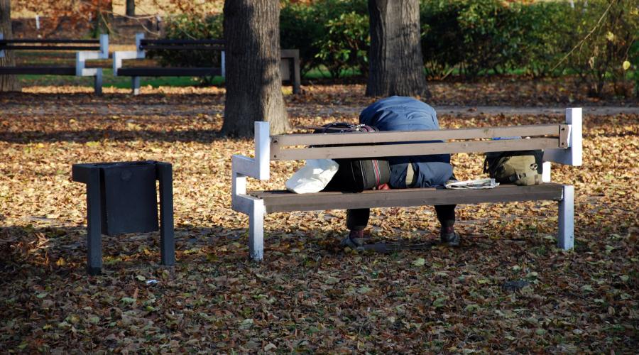 Person på bænk i park
