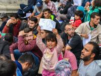 Flygtning holder et skilt med SOS