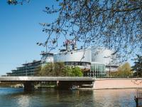 Den Europæiske Menneskerettighedsdomstol i Strasbourg Foto: Colourbox