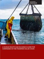 Fisheries human rights due diligence 