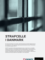Forside af policy brief om strafcelle i Danmark