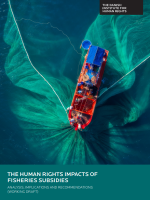 frontpage the human rights impact of fisheries subsidies